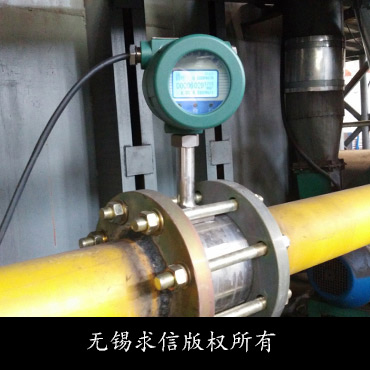 热式气体质量流量计测量天然气-江苏张家港